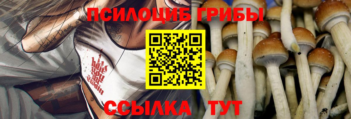 Галлюциногенные грибы мицелий  Вход с VPN  купить закладку  Галлюциногенные грибы Magic Shrooms  Балахна 